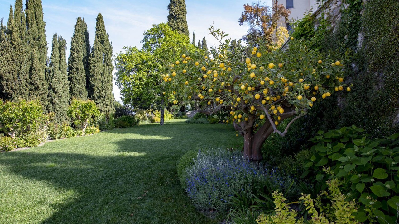 Photo of Outdoor in Lonato del Garda