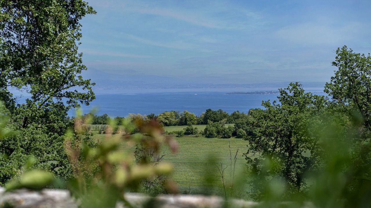Photo of Others in Lonato del Garda