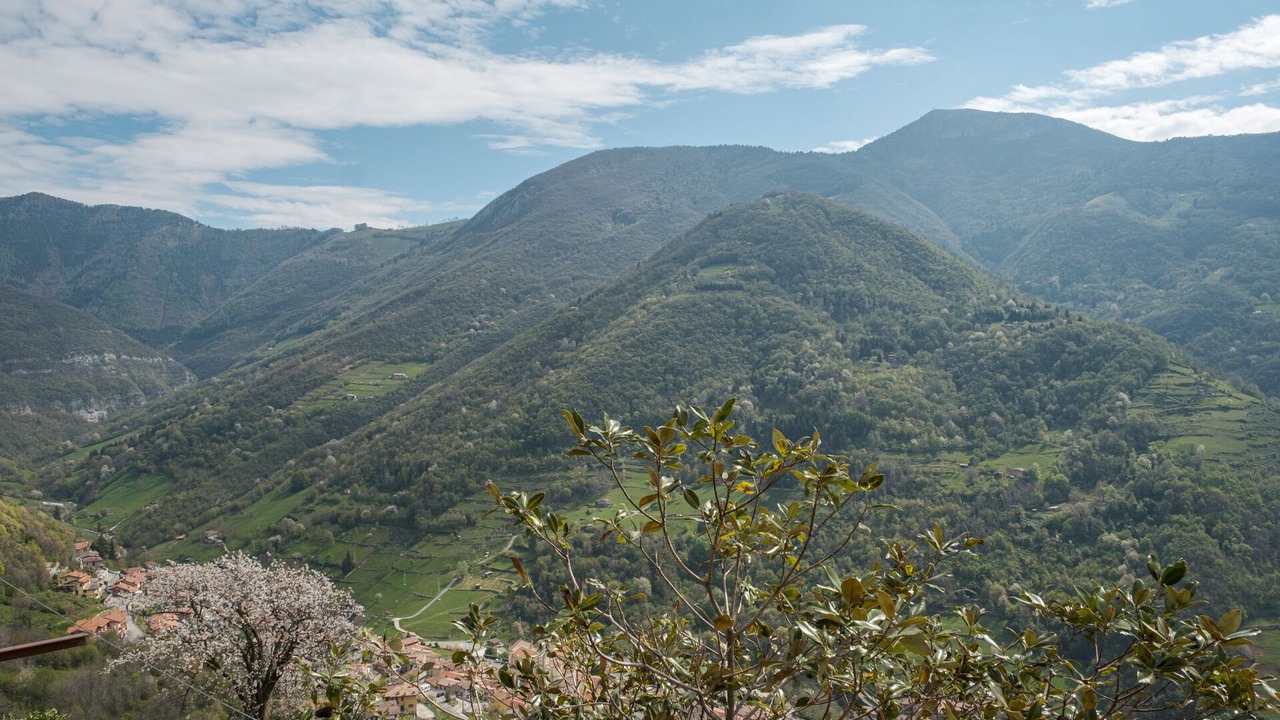 Photo of Outdoor in Adrara San Martino