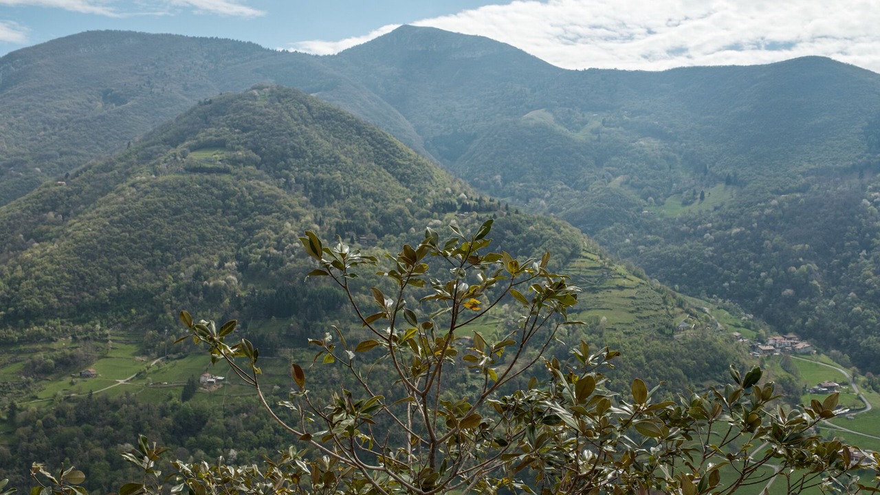 Photo of Outdoor in Adrara San Martino
