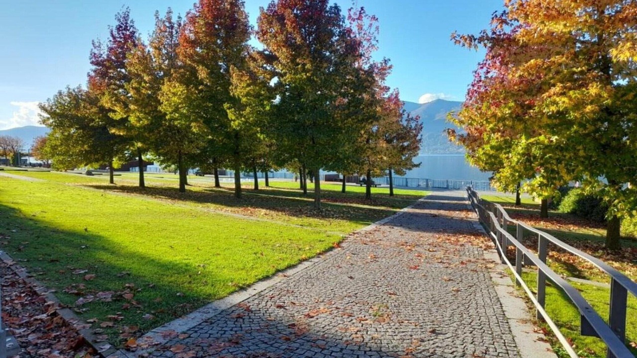 Photo of Others in Luino