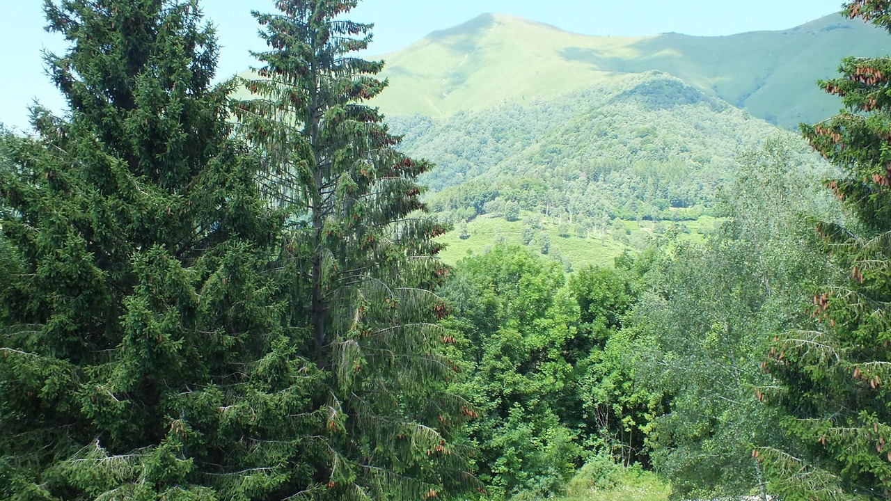 Photo of Outdoor in Zelbio
