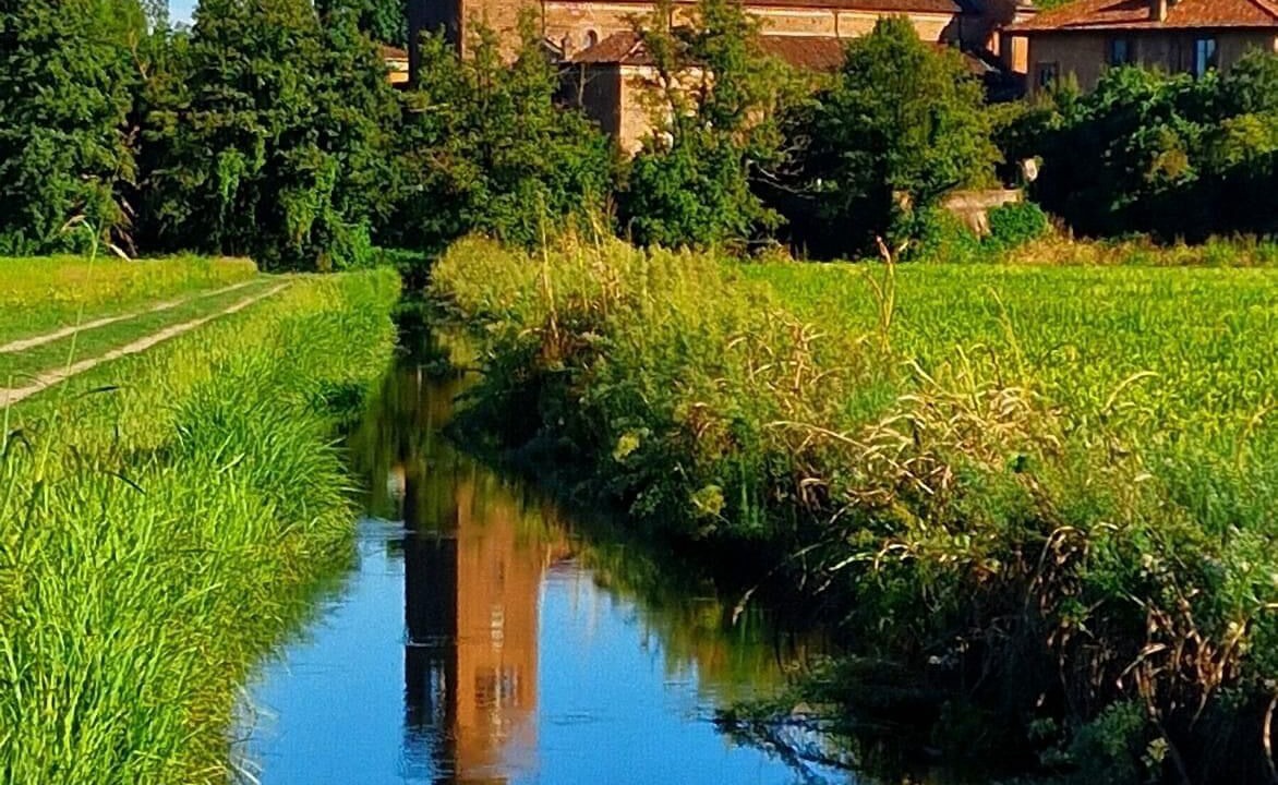Photo of Outdoor in San Giuliano Milanese