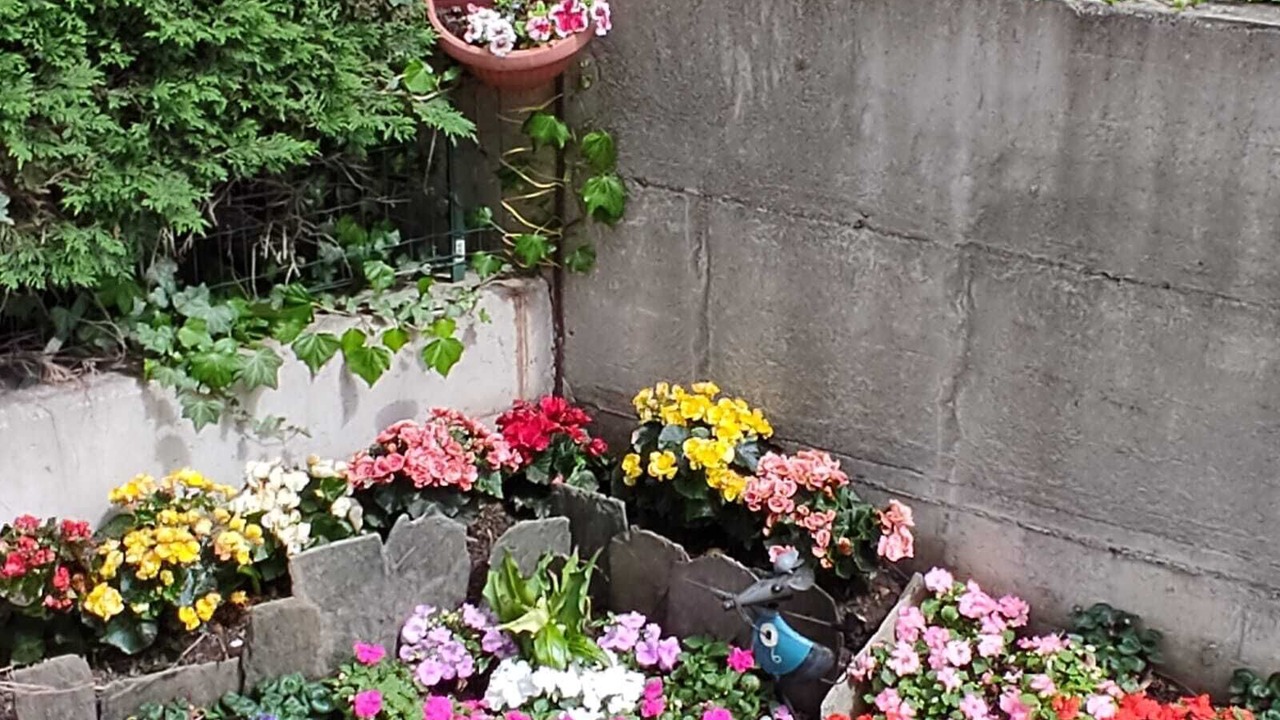Photo of Outdoor in Madonna di Tirano