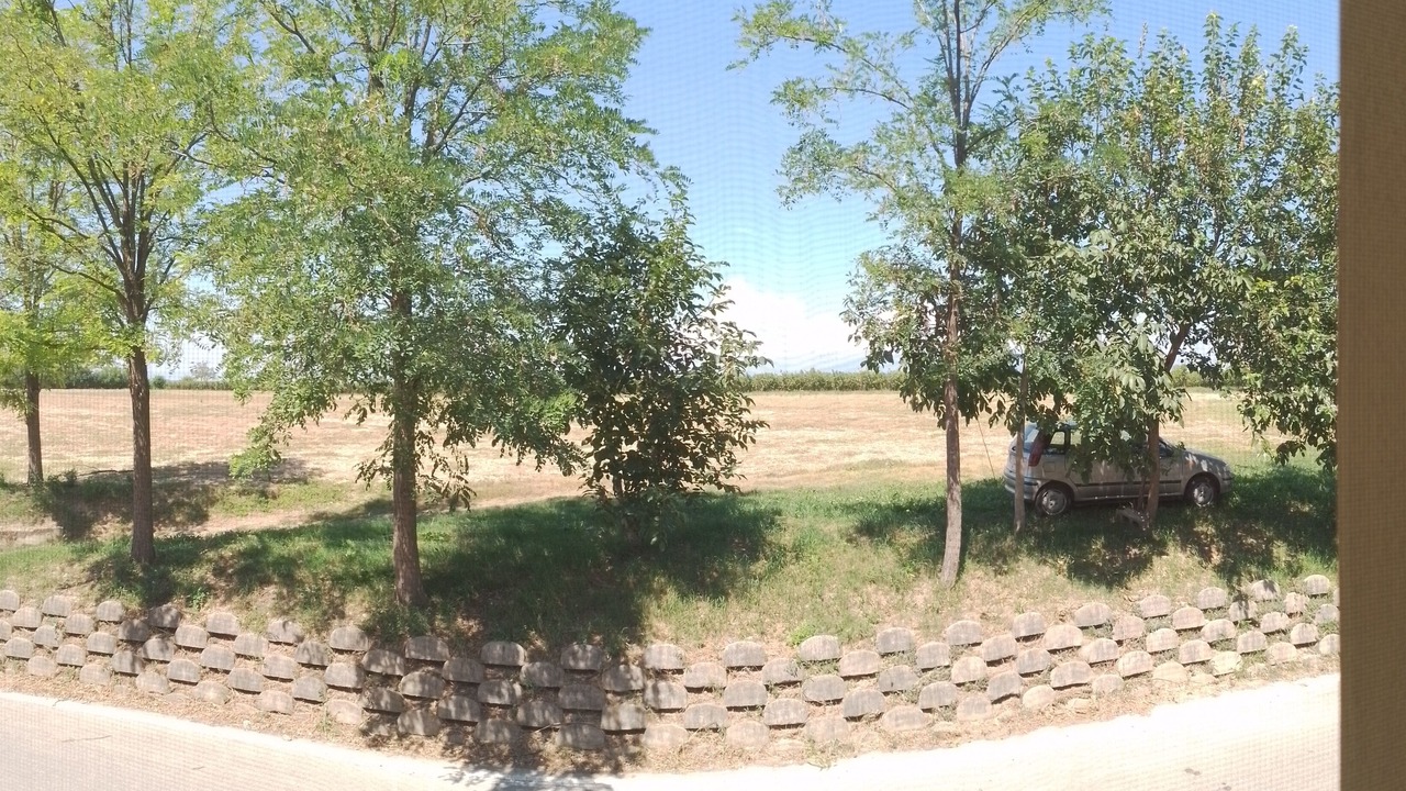 Photo of Outdoor in Vaccarolo