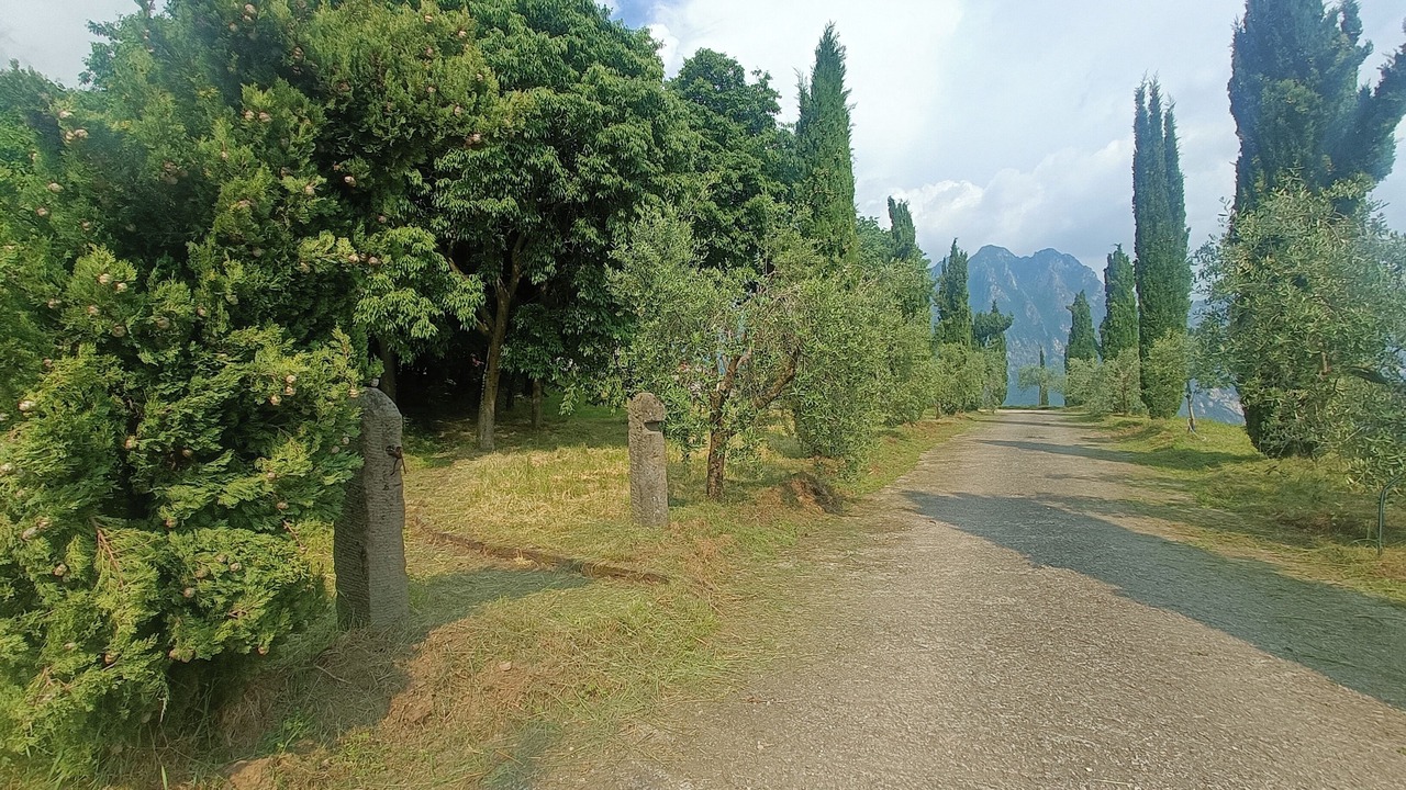 Photo of Outdoor in Riva di Solto