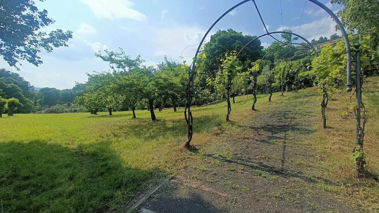 Photo of Outdoor in Riva di Solto