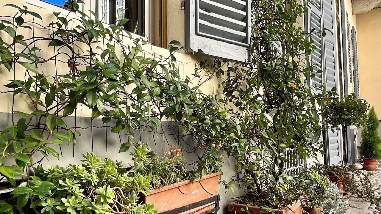 Photo of Outdoor in Pavia