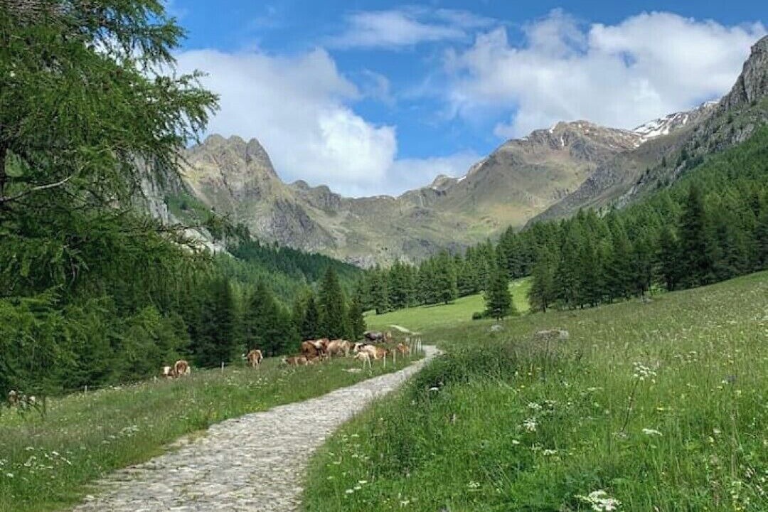 Photo of Others in Vione