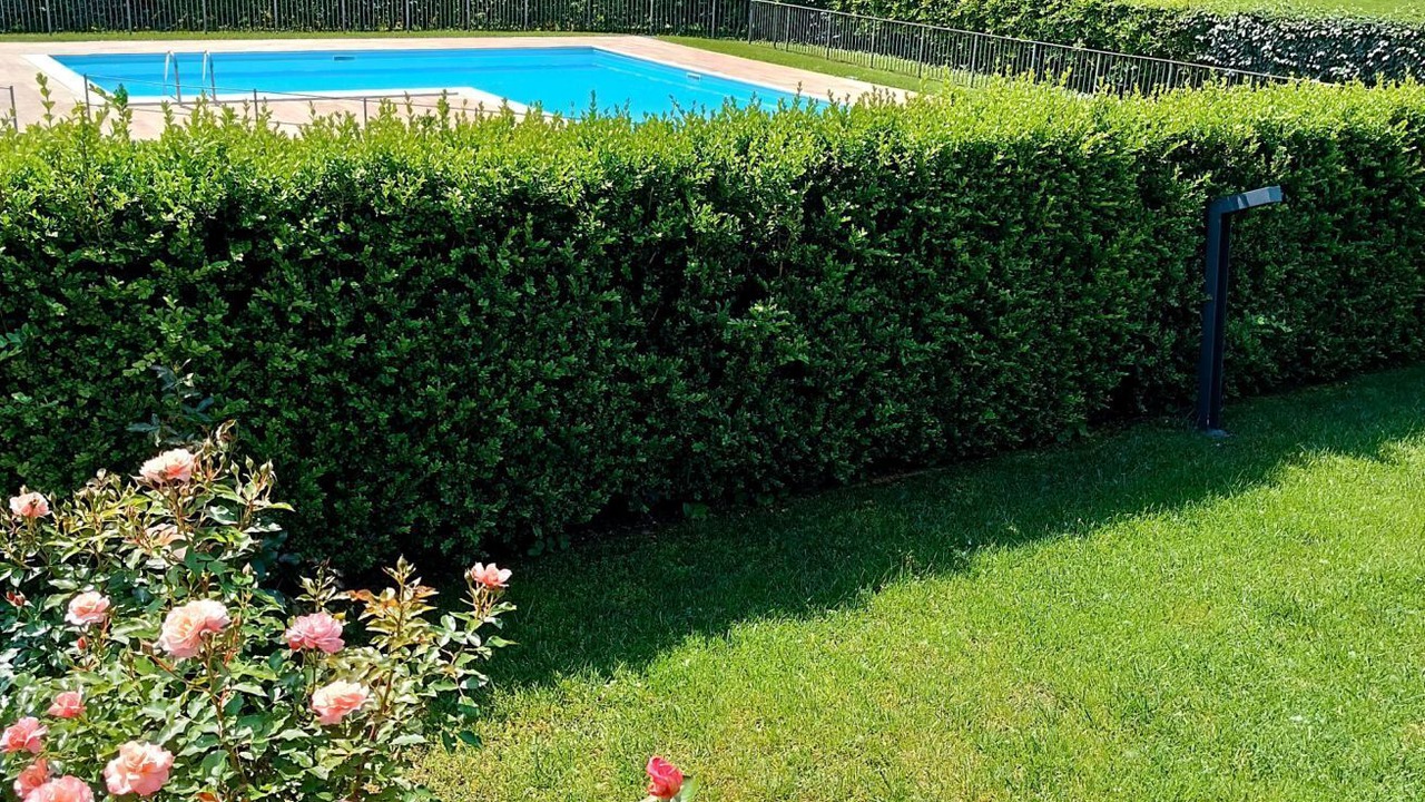 Photo of Outdoor in Spinone Al Lago