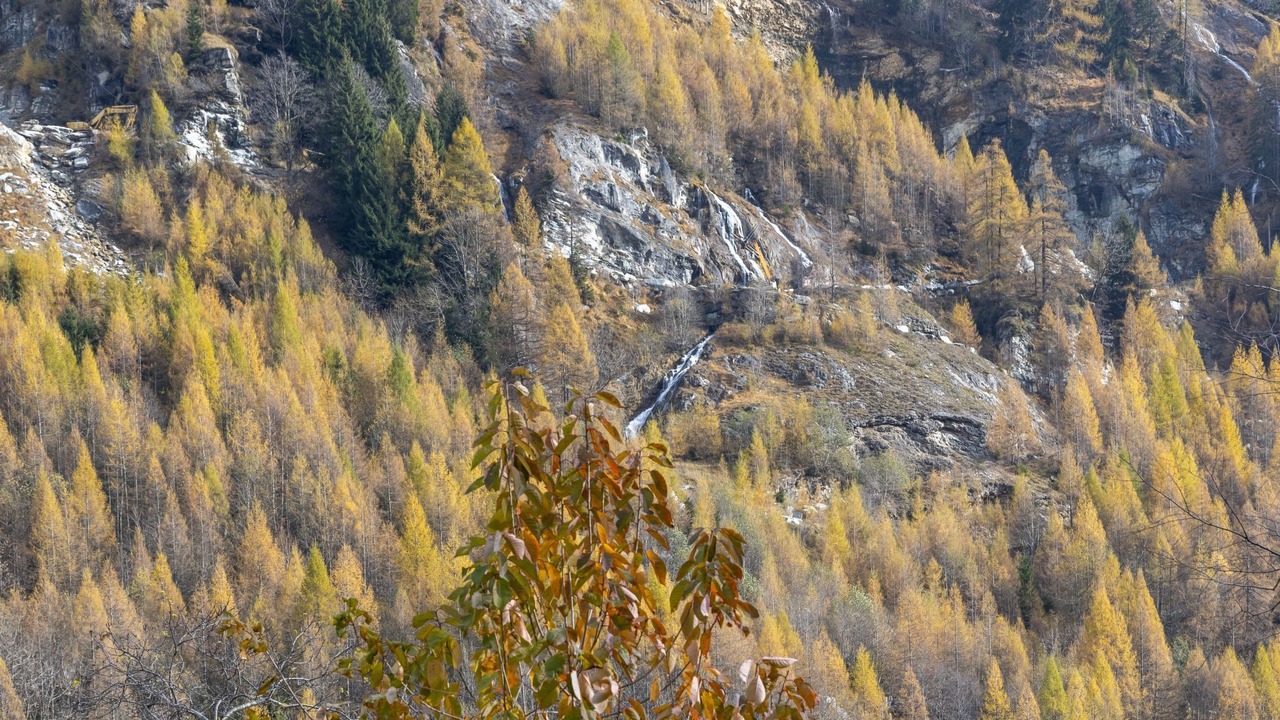 Photo of Others in Isola