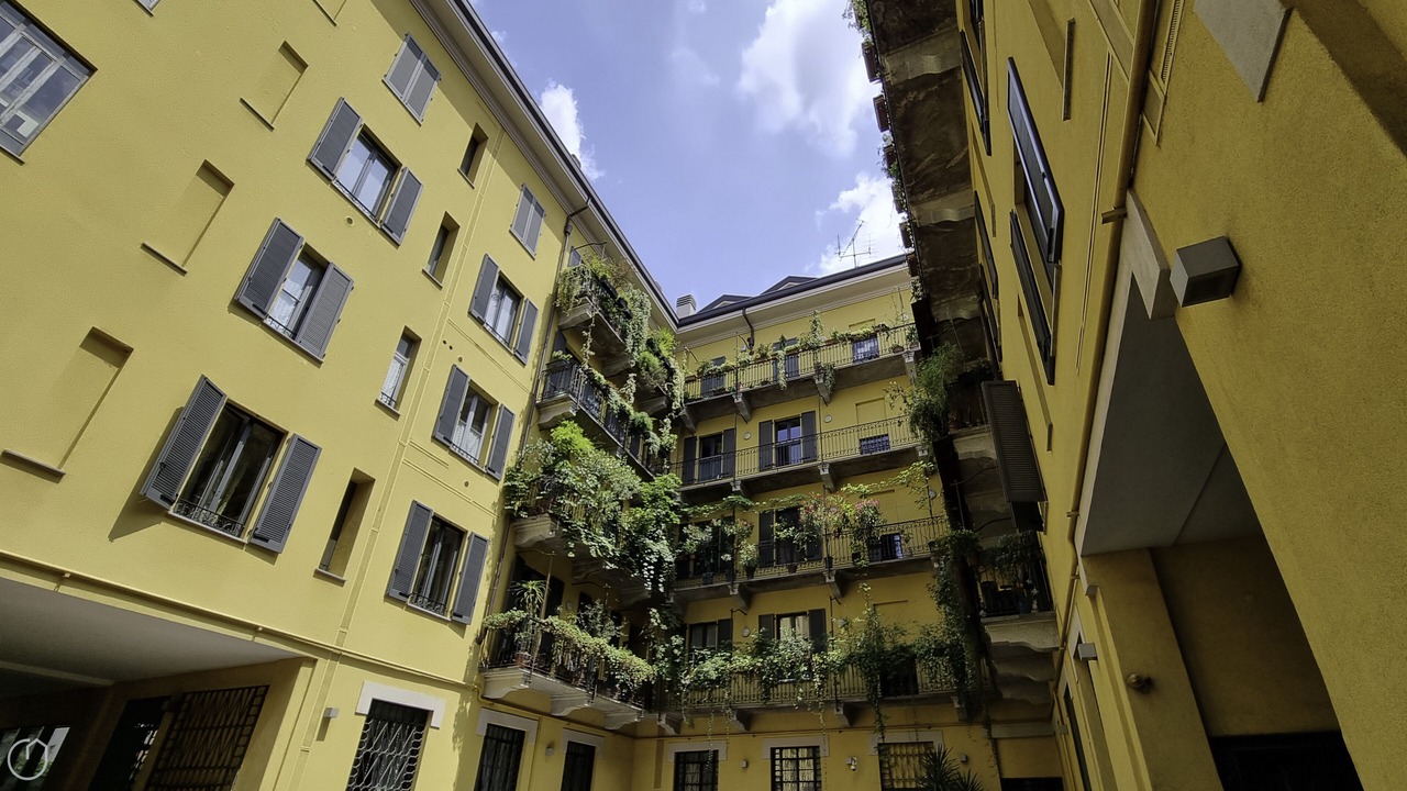 Photo of Outdoor in Chinatown