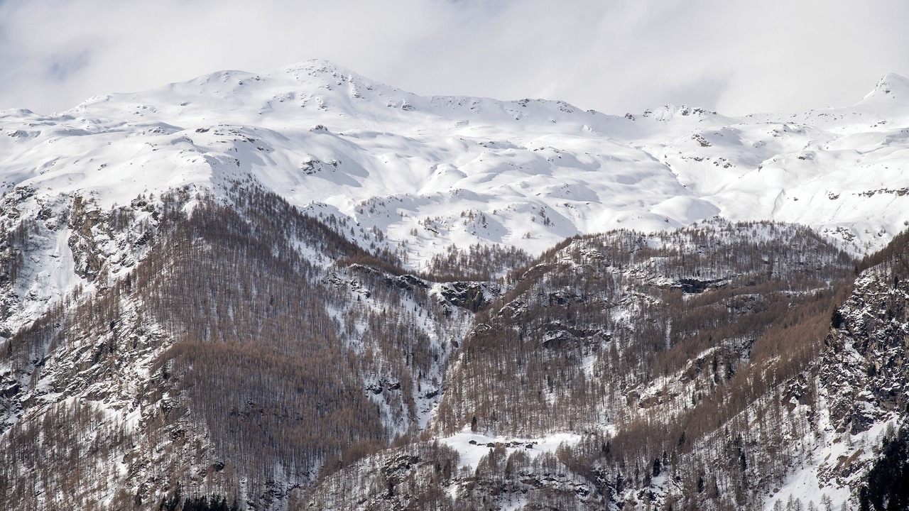 Photo of Others in Campodolcino