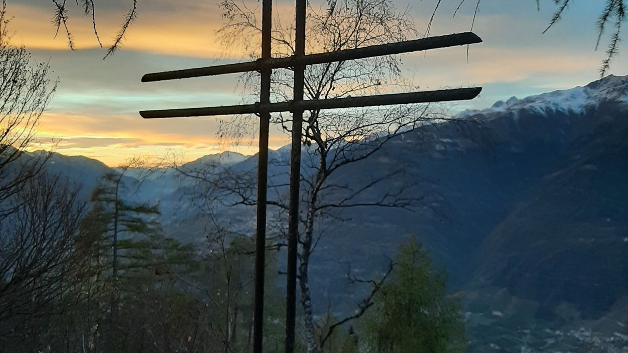 Photo of Others in Aprica