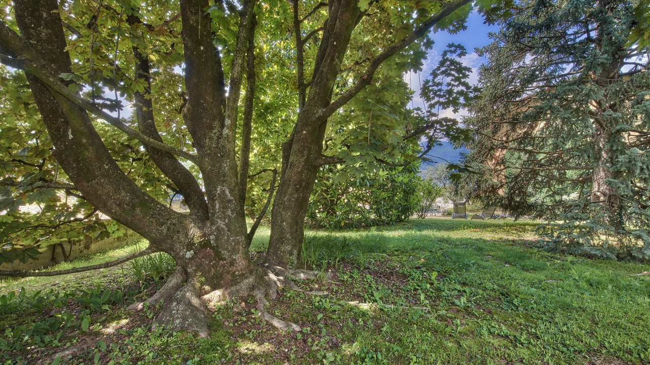 Photo of Outdoor in Lierna