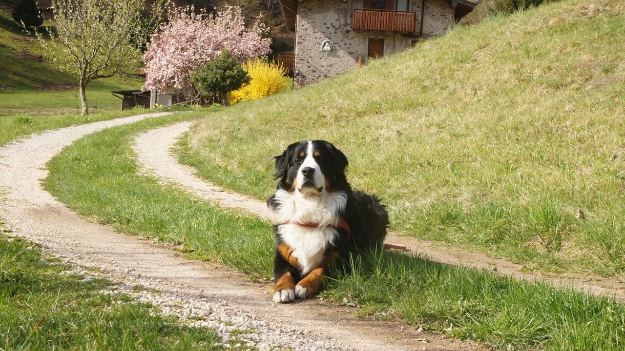 Photo of Outdoor in Lavenone