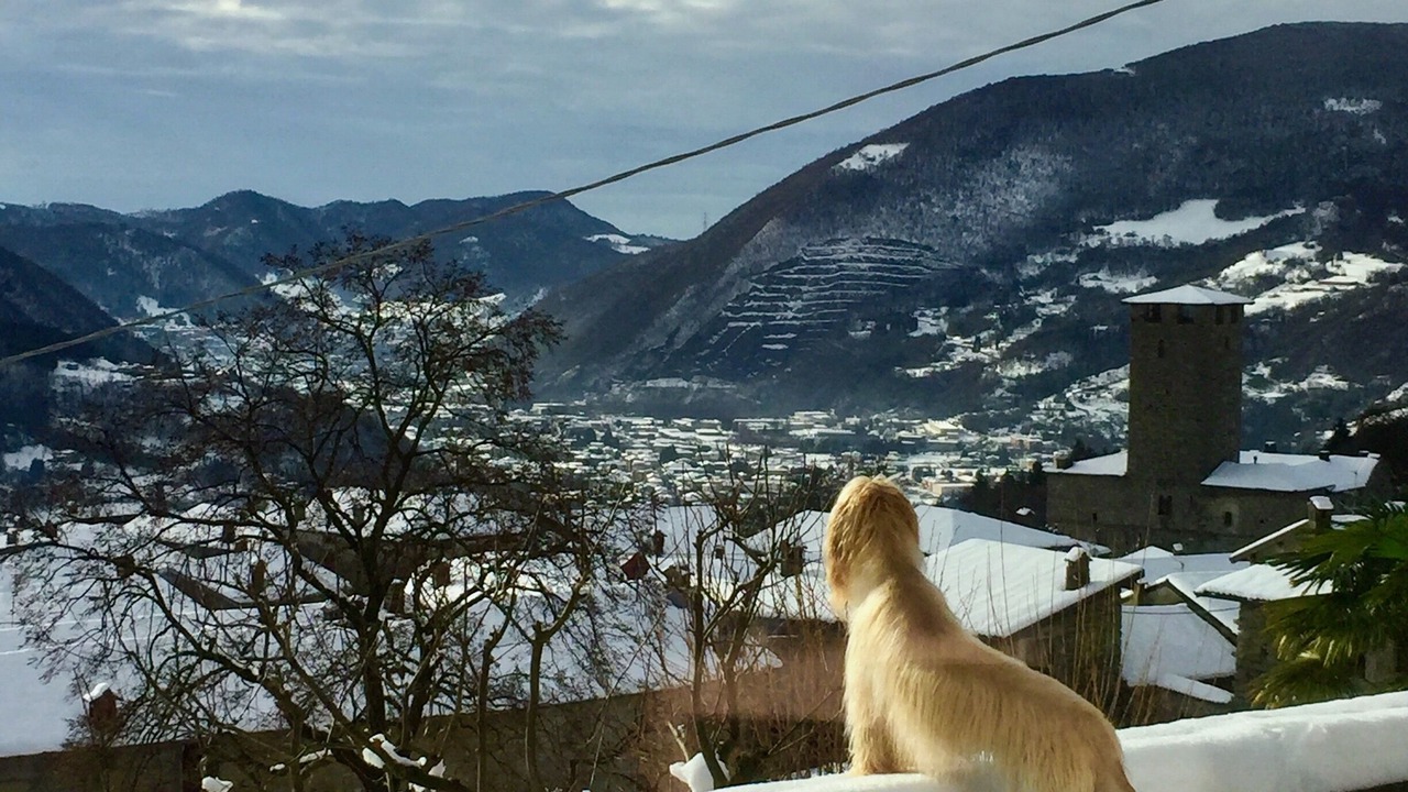 Photo of Outdoor in Bianzano
