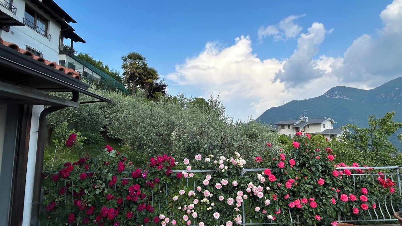 Photo of Outdoor in Bianzano