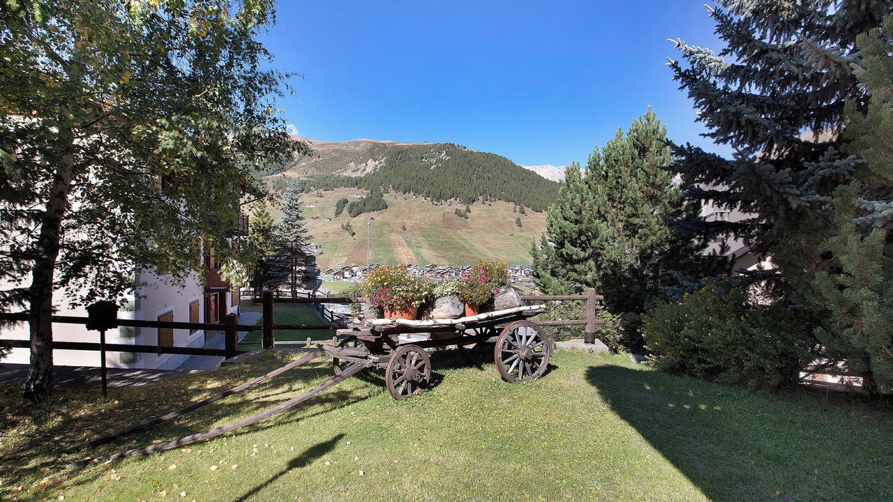 Photo of Outdoor in Teola