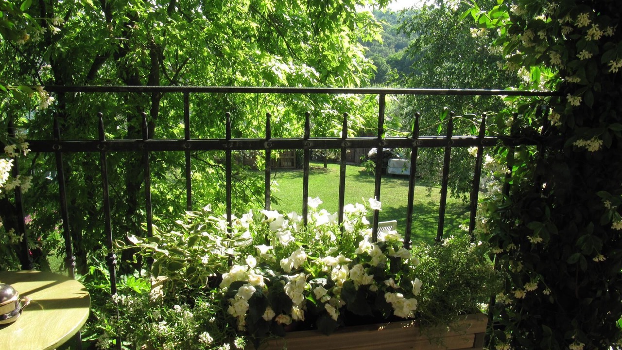 Photo of Outdoor in Castello