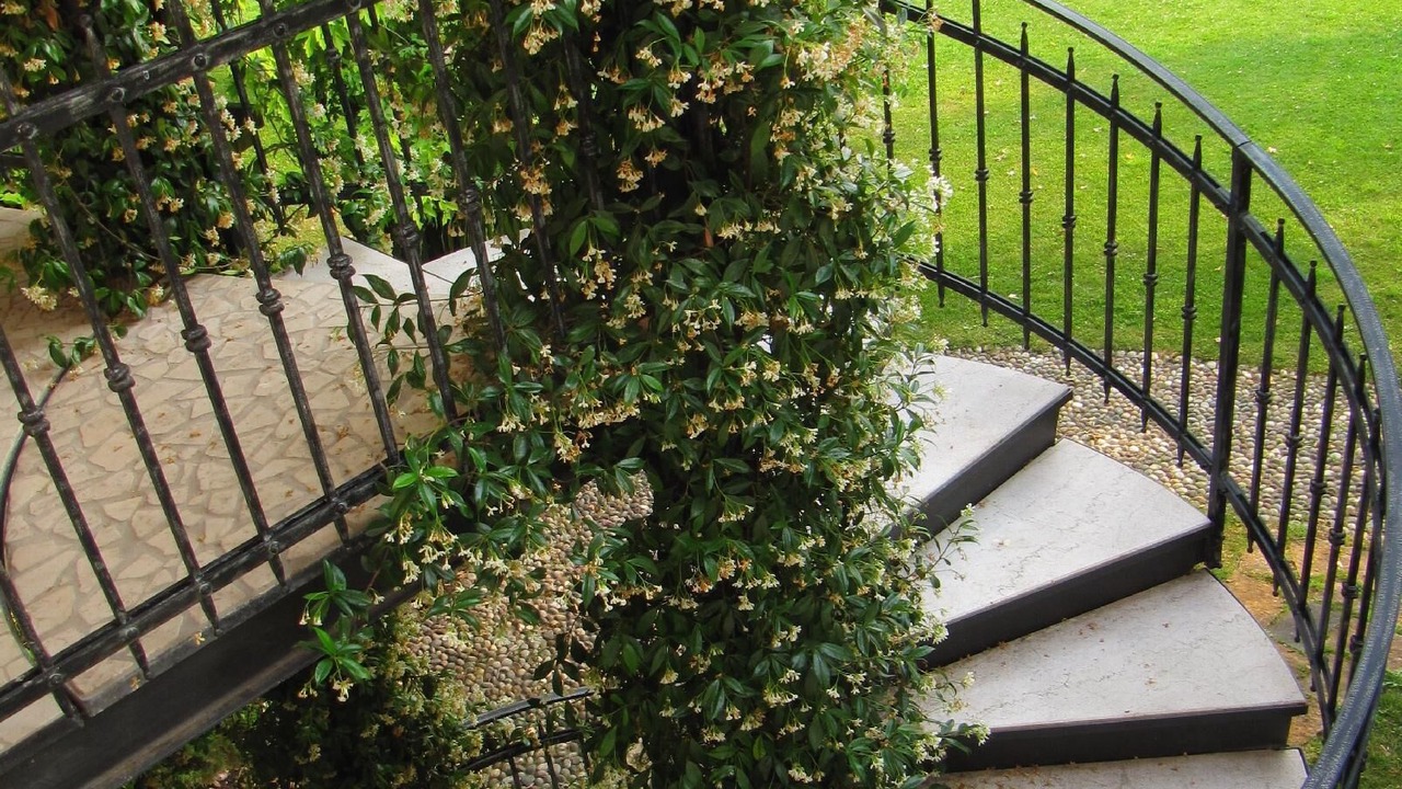 Photo of Outdoor in Castello