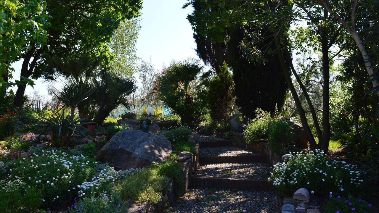 Photo of Outdoor in Castello