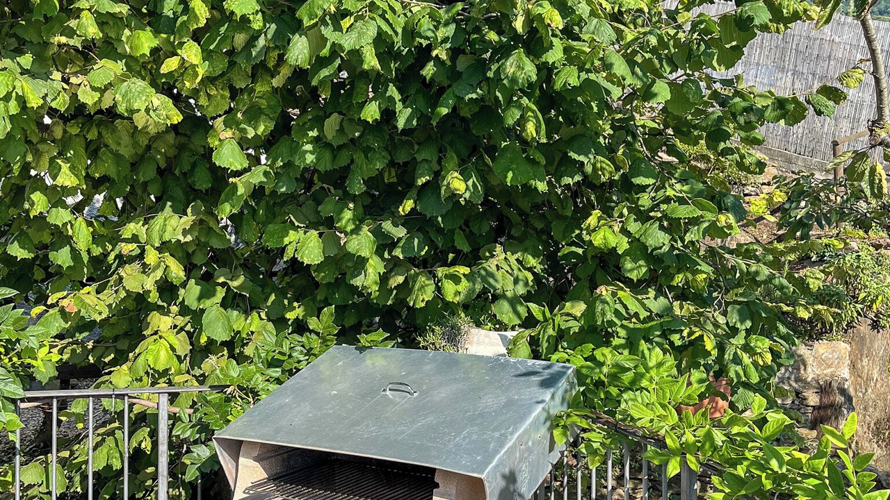Photo of Outdoor in Calozzo