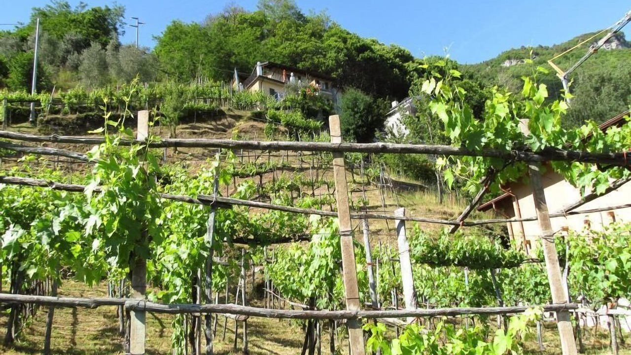 Photo of Others in Gravedona