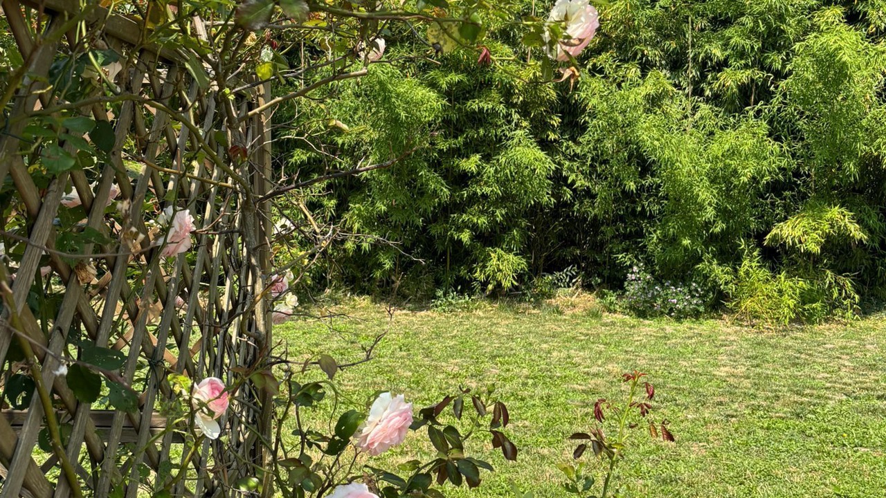 Photo of Outdoor in Borgo Virgilio