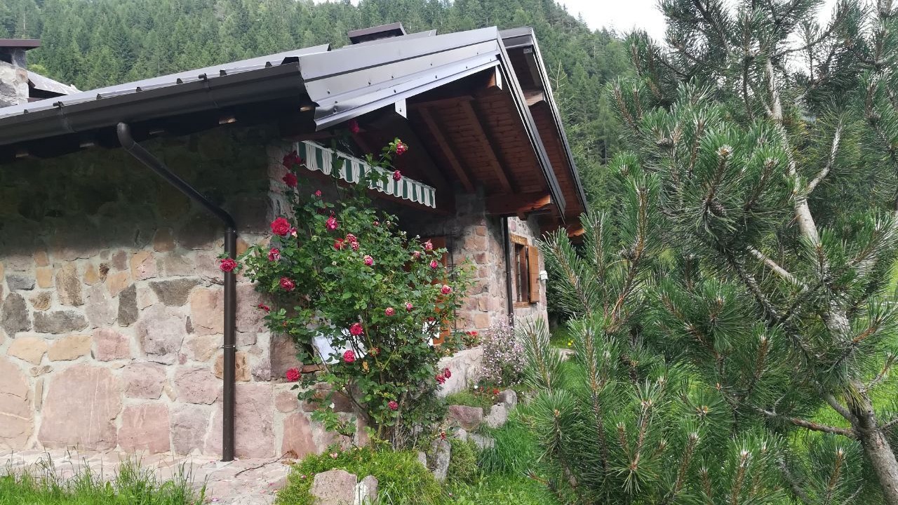 Photo of Outdoor in Prestine