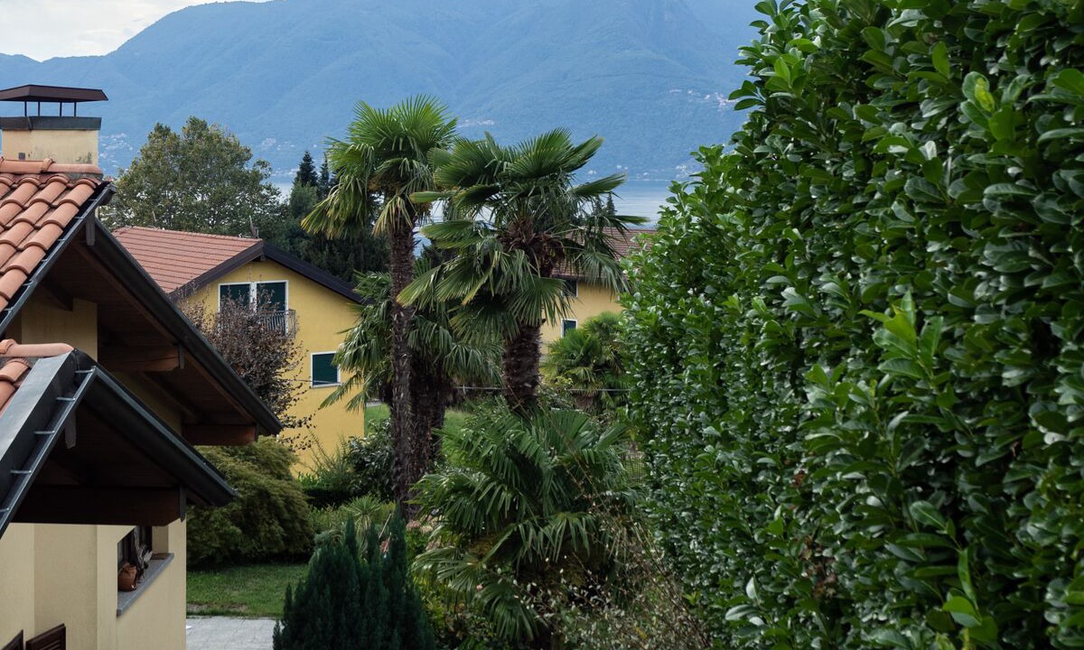 Photo of Outdoor in Luino