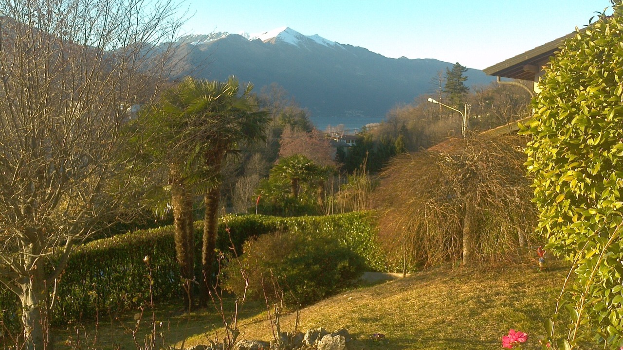 Photo of Outdoor in Luino