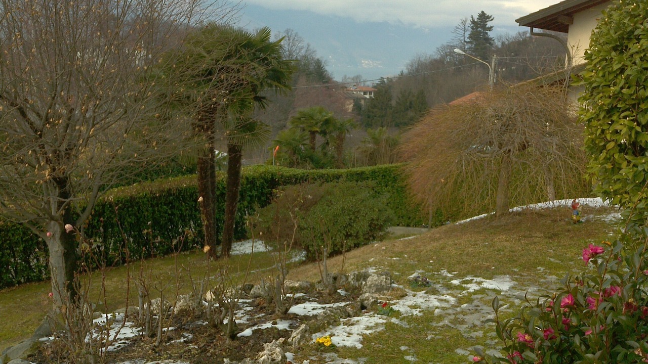 Photo of Outdoor in Luino