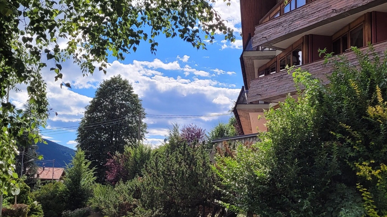 Photo of Outdoor in Temu