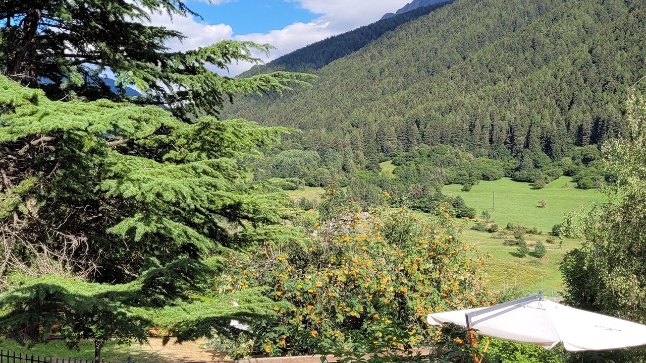 Photo of Outdoor in Temu