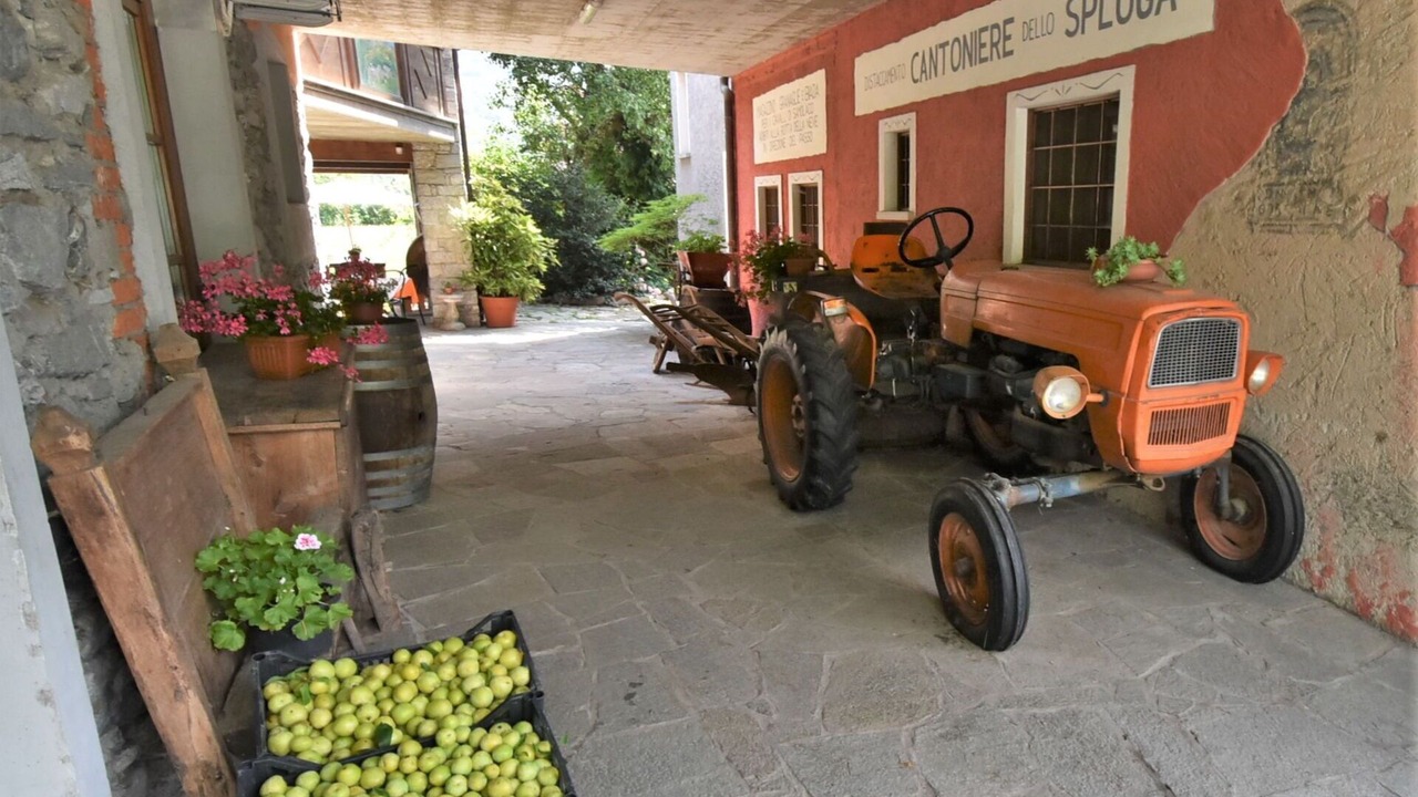 Photo of Patio Balcony in Prata Camportaccio