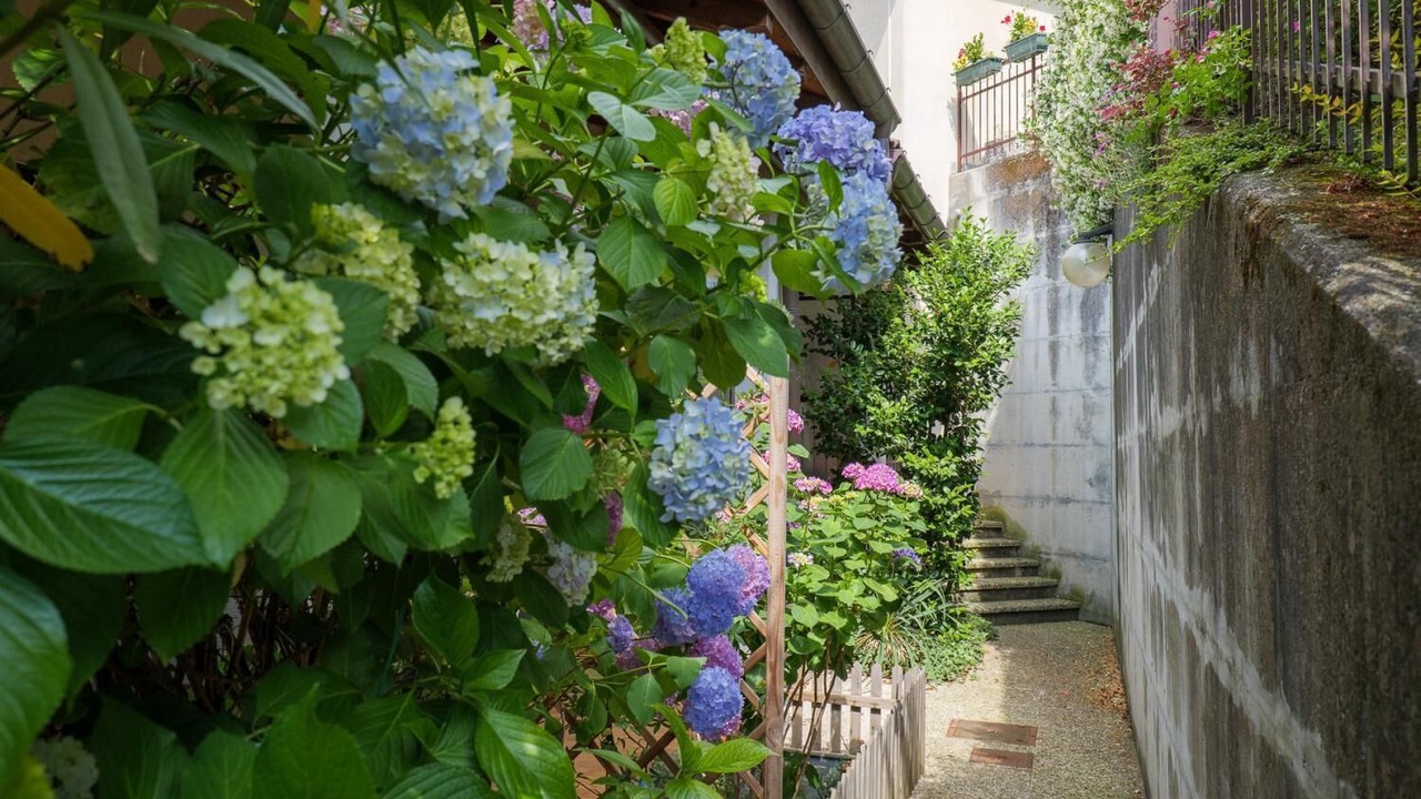 Photo of Outdoor in Castello