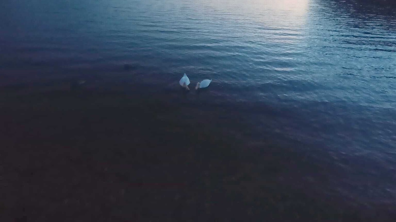 Photo of Others in Sensole