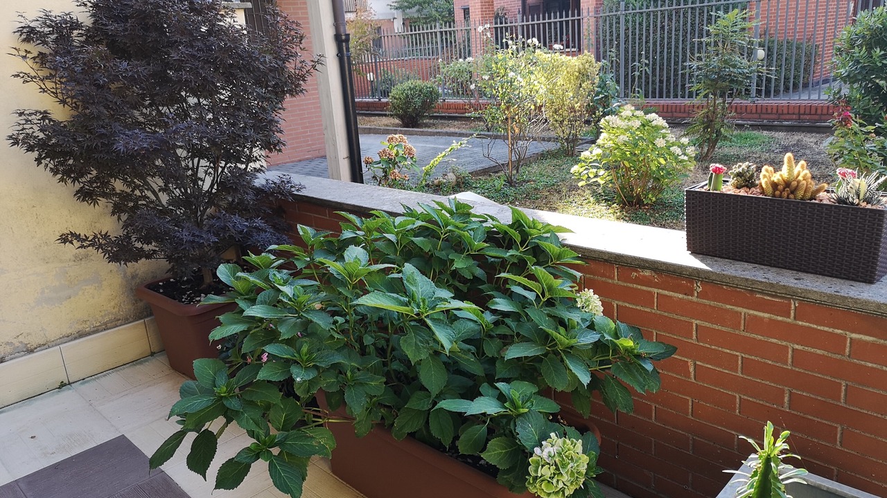 Photo of Outdoor in Muggiano