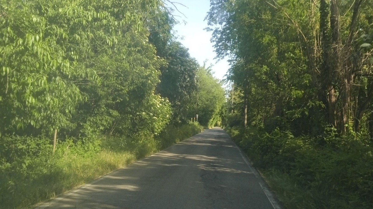 Photo of Outdoor in Vanzago