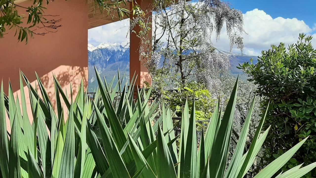 Photo of Outdoor in Oldesio