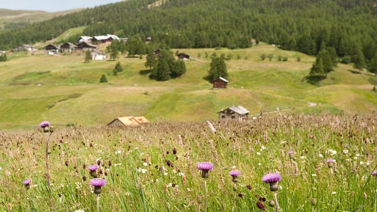 Photo of Others in Livigno