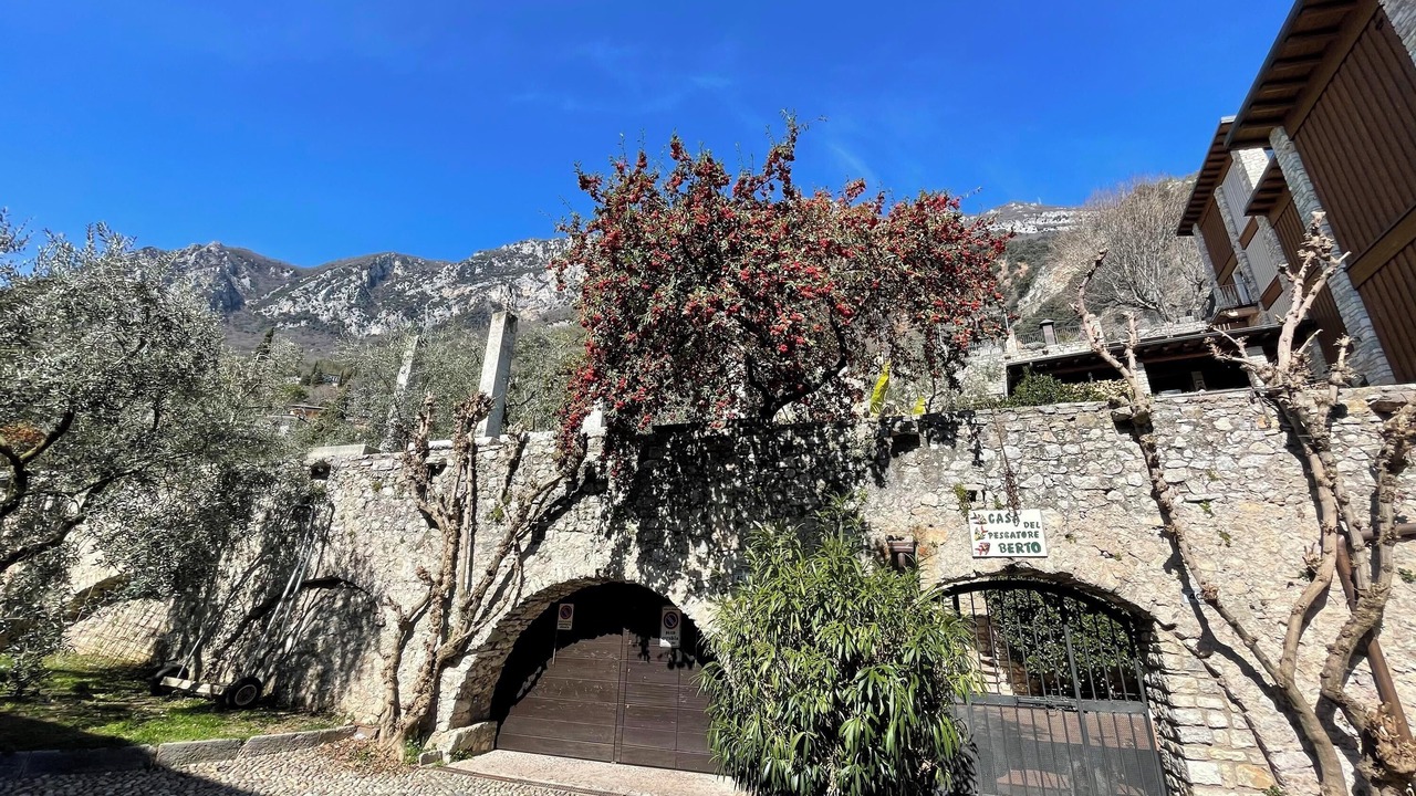 Photo of Outdoor in Gargnano