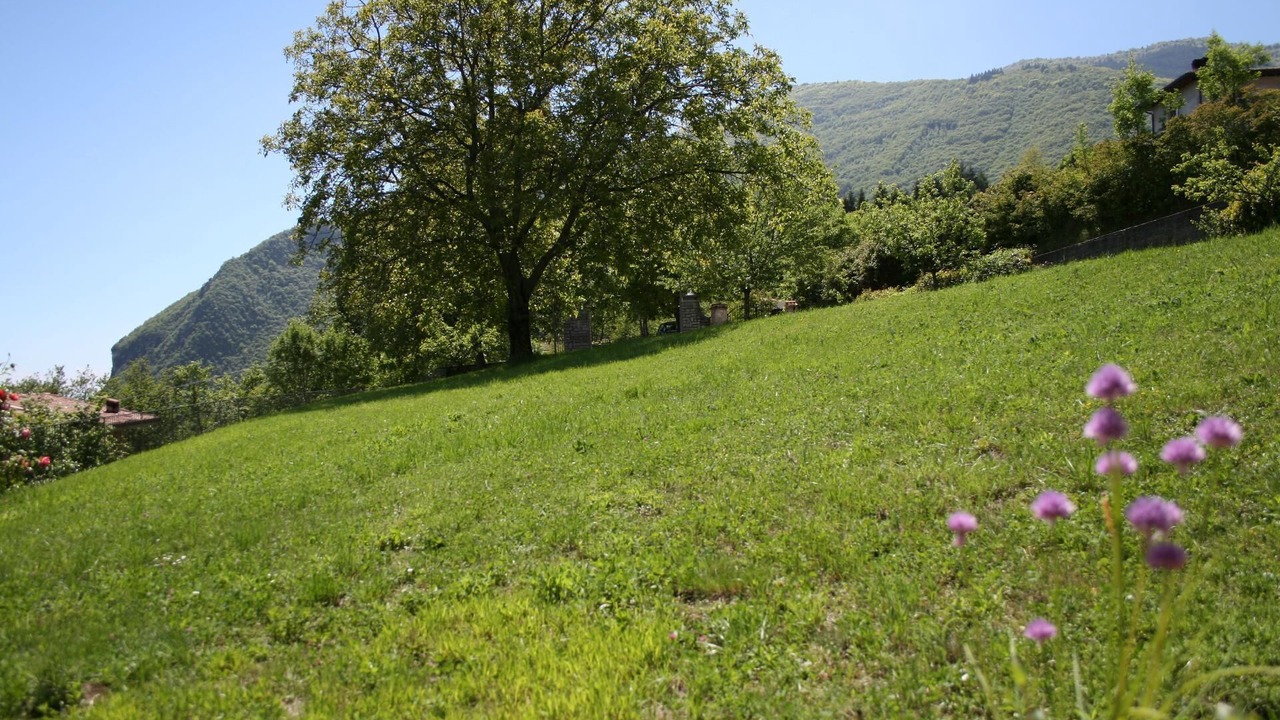 Photo of Outdoor in Aer