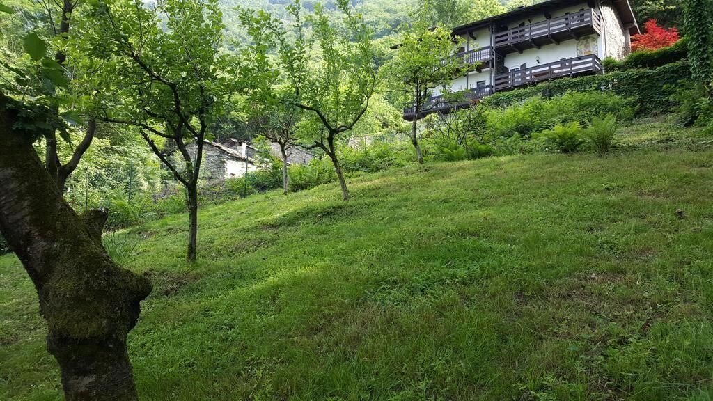 Photo of Outdoor in Delebio