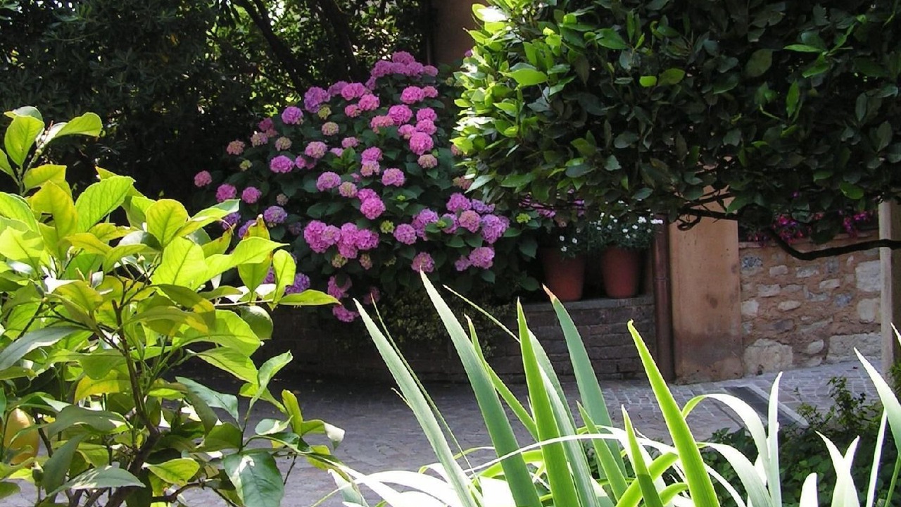 Photo of Outdoor in Provezze