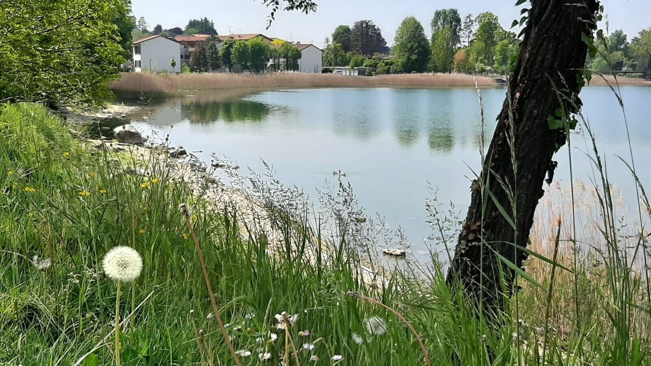 Photo of Outdoor in Bosisio Parini