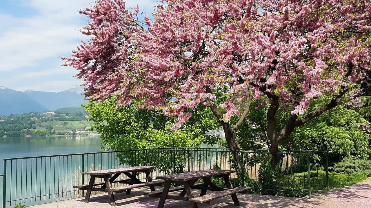 Photo of Outdoor in Bosisio Parini