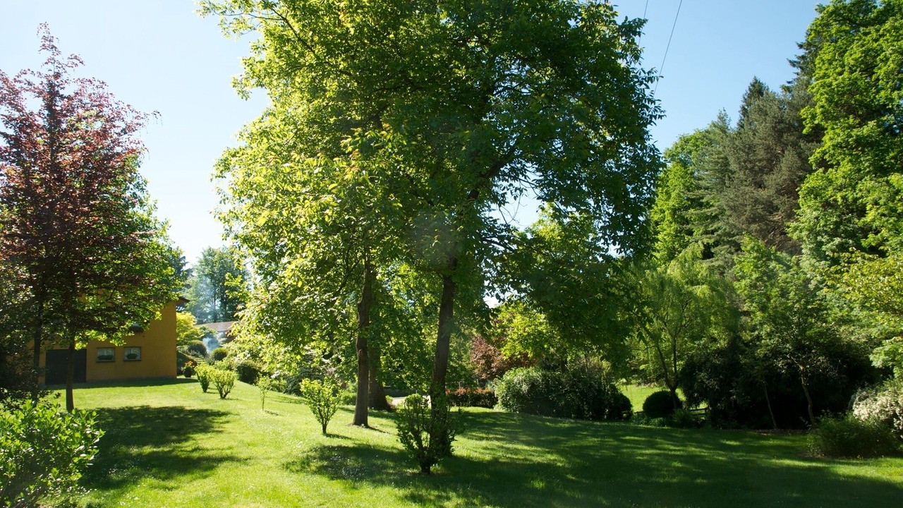 Photo of Outdoor in Comabbio