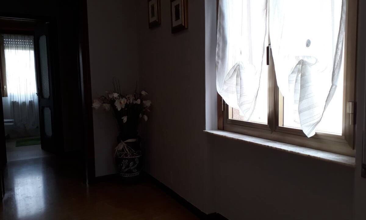 Photo of Others in Dervio